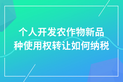 個(gè)人開發(fā)農(nóng)作物新品種使用權(quán)轉(zhuǎn)讓的稅務(wù)處理指南